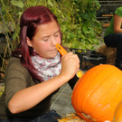 Mahlerhof H__chst 02_10_2011 30_jpg-1317580544
