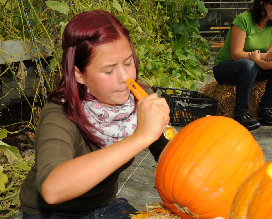 Mahlerhof H__chst 02_10_2011 30_jpg-1317580544