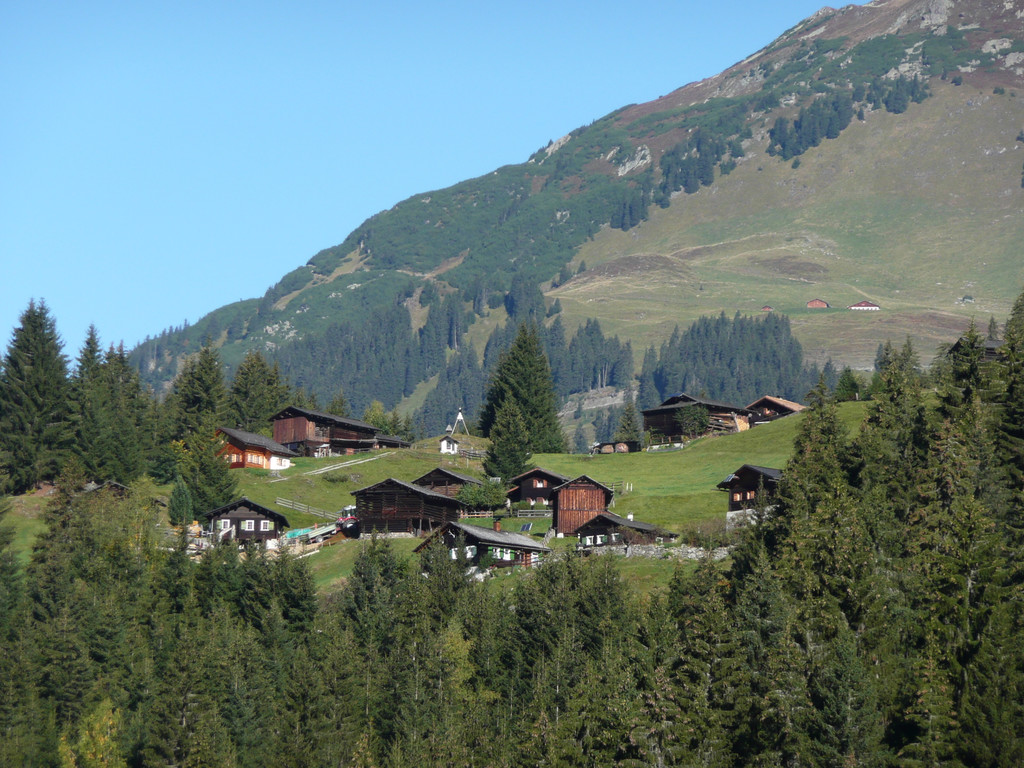 P1090269.JPG