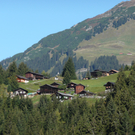 Freunde der Sattelalpe