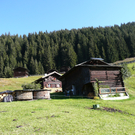P1090281.JPG