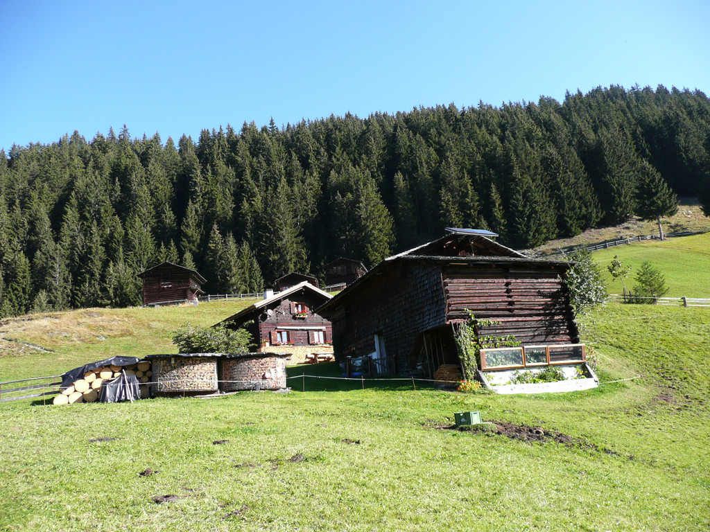 P1090281.JPG