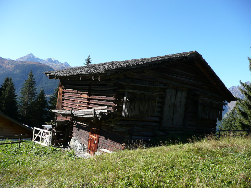 P1090288.JPG