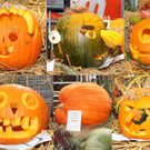 K__rbissammlung Mahlerhof_jpg-1317582934.jpg