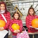 Mahlerhof H__chst 02_10_2011 18_jpg-1317582815.jpg