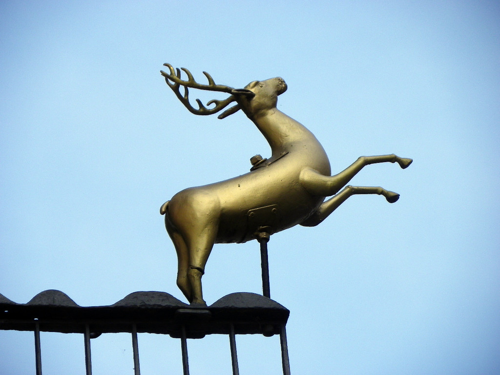 207_JPG-1317590816