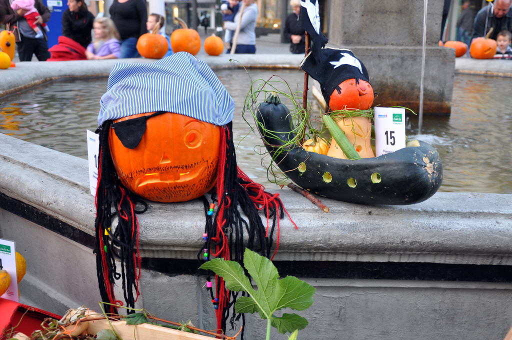 DSC_0092_JPG-1317619855