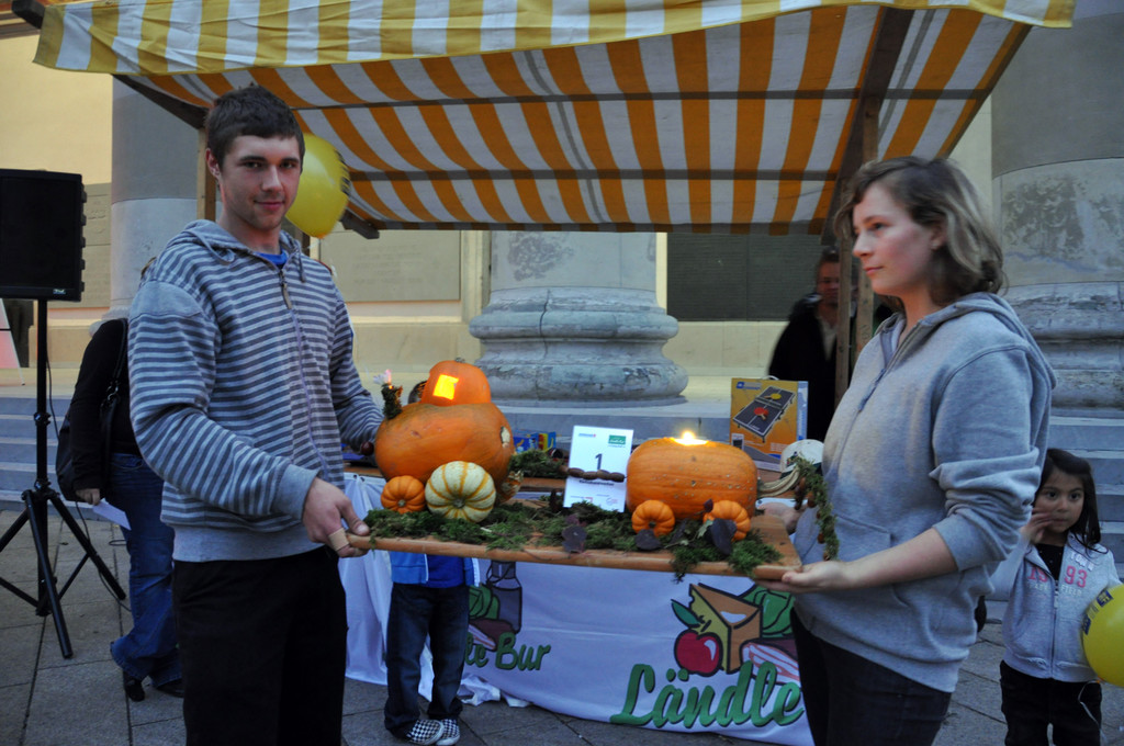 DSC_0119_JPG-1317620503