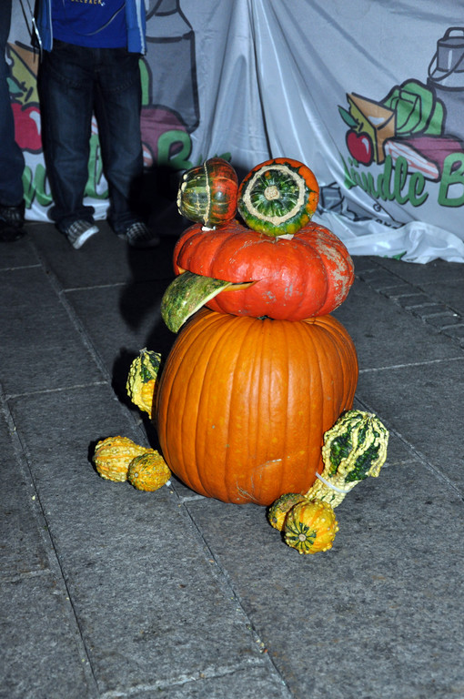 DSC_0131_JPG-1317620733