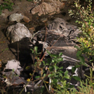 normal_02102011vuebengmaktivnews052.JPG