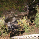 normal_02102011vuebengmaktivnews070.JPG