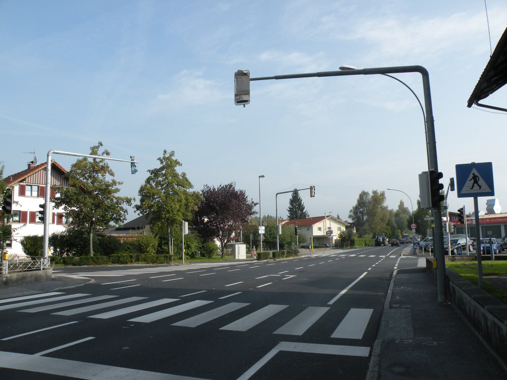 Lamm2.JPG