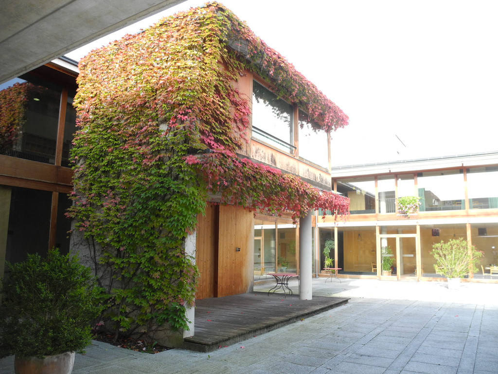 DSCN9429_JPG-1317630802