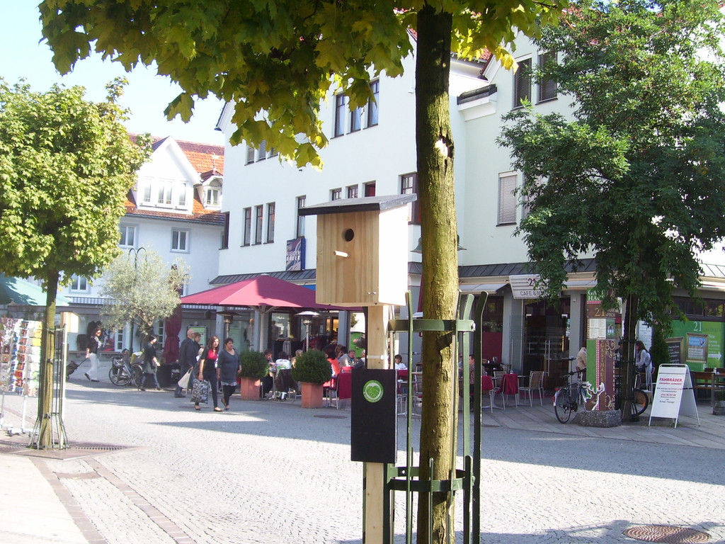 Oktober 006.JPG