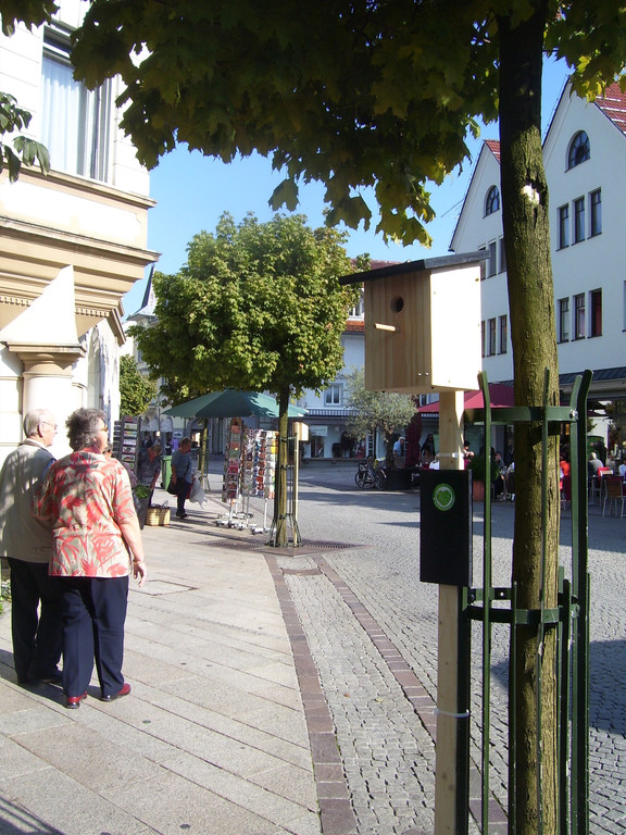 Oktober 007.JPG