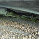 02102011busrpaktivnews_04.jpg