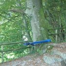 02102011busrpaktivnews_19.jpg