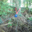 02102011busrpaktivnews_27.jpg