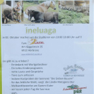Z__ndel Bauernhof Erntedank 097 _Large__jpg-1317637064