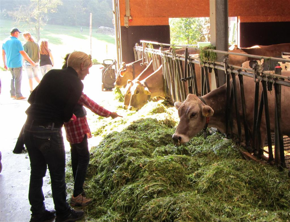 Kopie von Z__ndel Bauernhof Erntedank 038 _Large__jpg-1317637067