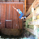 Z__ndel Bauernhof Erntedank 024 _Large__jpg-1317637093