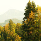fclingenau28_jpg-1317641386