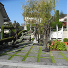 DSCN9593_JPG-1317644846