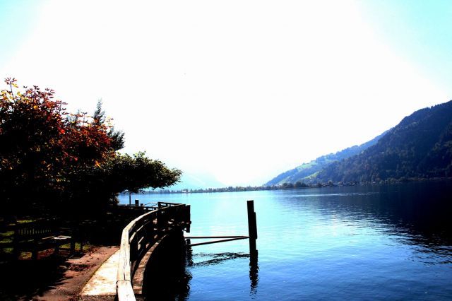 normal_03102011wettergmaktivnews04.jpg