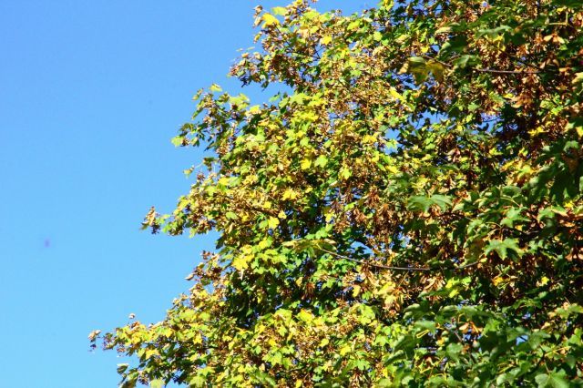 normal_03102011wettergmaktivnews27.jpg