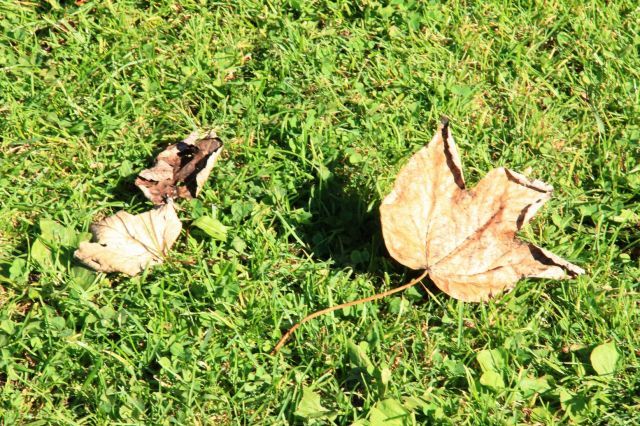 normal_03102011wettergmaktivnews29.jpg