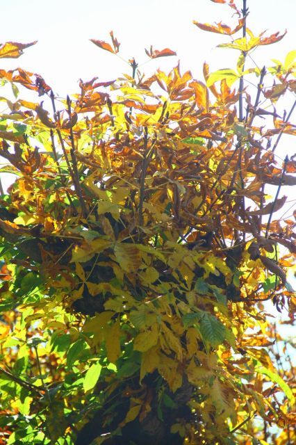 normal_03102011wettergmaktivnews33.jpg