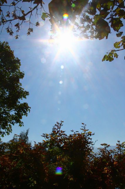 normal_03102011wettergmaktivnews34.jpg