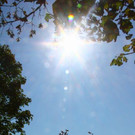 normal_03102011wettergmaktivnews34.jpg