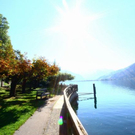 normal_03102011wettergmaktivnews21.jpg
