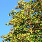normal_03102011wettergmaktivnews27.jpg