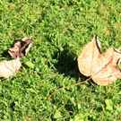 normal_03102011wettergmaktivnews29.jpg