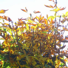 normal_03102011wettergmaktivnews33.jpg