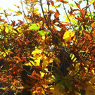 normal_03102011wettergmaktivnews35.jpg