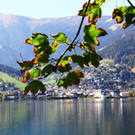 normal_03102011wettergmaktivnews36.jpg