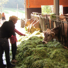 Kopie von Z__ndel Bauernhof Erntedank 038 _Large__jpg-1317656873