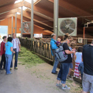 Z__ndel Bauernhof Erntedank 026 _Large__jpg-1317656901