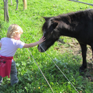 Z__ndel Bauernhof Erntedank 081 _Large__jpg-1317656954