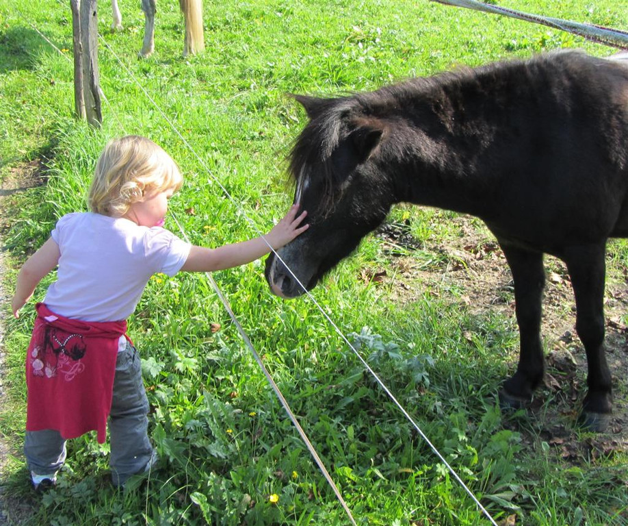 Z__ndel Bauernhof Erntedank 081 _Large__jpg-1317656954