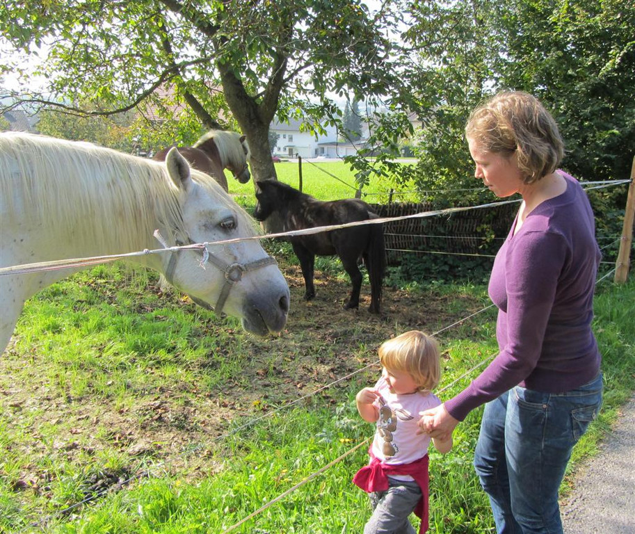 Z__ndel Bauernhof Erntedank 082 _Large__jpg-1317656959