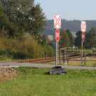 03102011vuzugffaktivnws_16.jpg