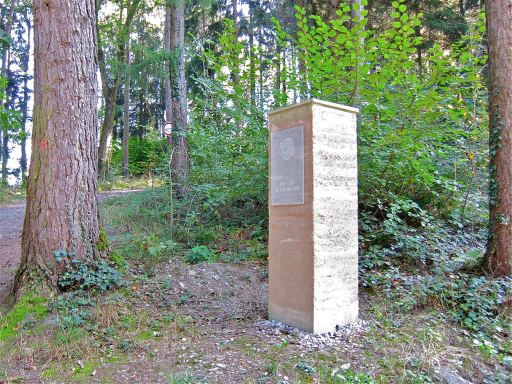 KOE_Tostner Burg 1_jpg-1317667110