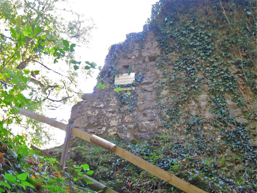 KOE_Tostner Burg 3_jpg-1317667131