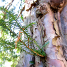 KOE_Tostner Burg 18_jpg-1317667285