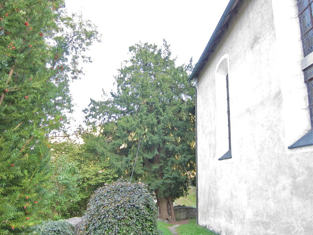 KOE_Tostner Burg 34_jpg-1317667420