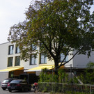 234_JPG-1317679039
